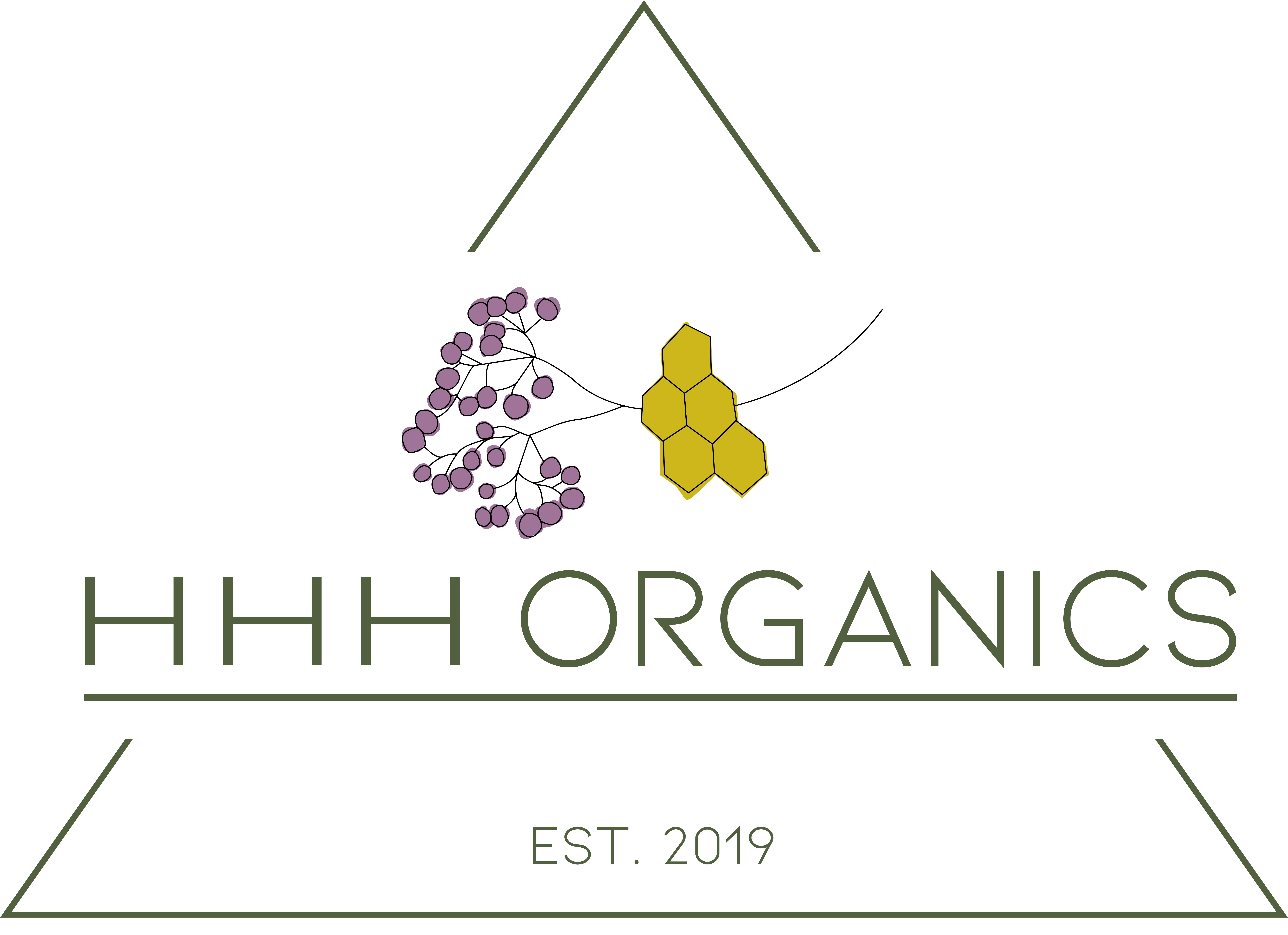 Small Batch Organic Elderberry Goods Hhh Organics